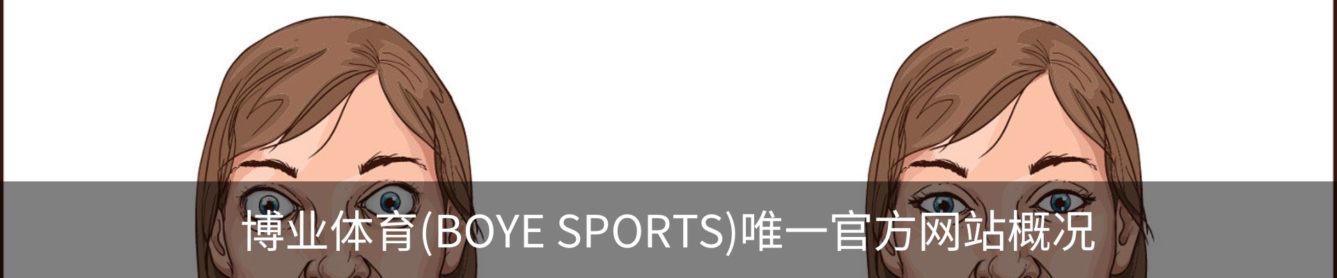 博业体育(BOYE SPORTS)唯一官方网站概况